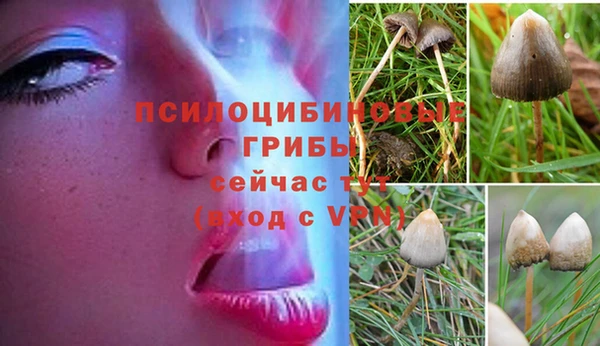 шишки Остров
