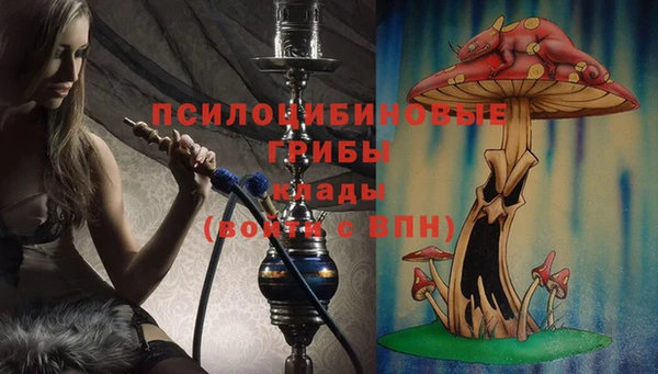 МДМА Няндома