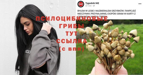 хмурый Нязепетровск