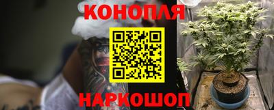 сатива Аргун