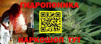 сатива Аргун