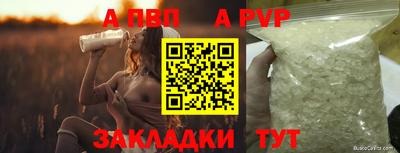сатива Аргун