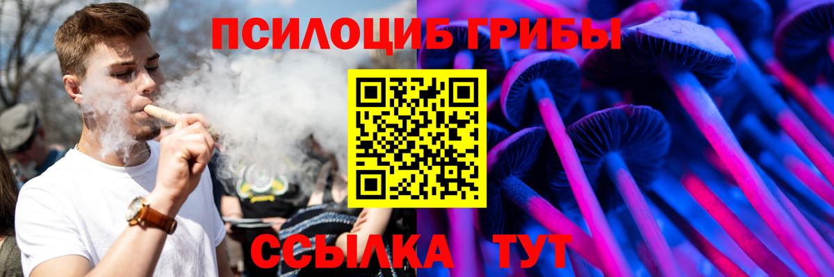 Барнаул  Псилоцибиновые грибы Cubensis  хочу   Вход с VPN 